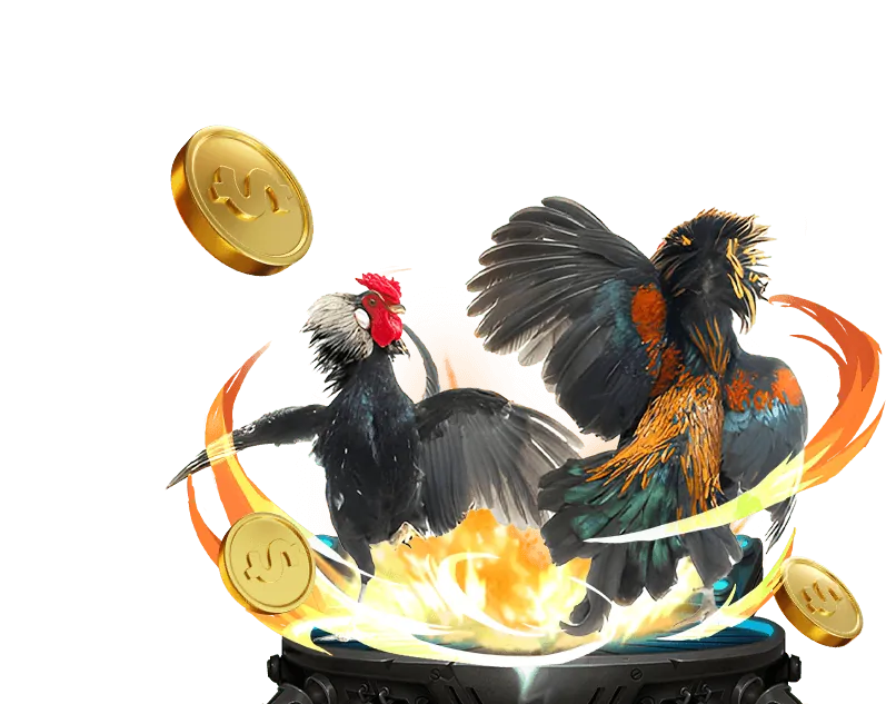 Sòng bạc trực tiếp OKVIP